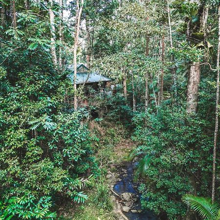 Narrows Escape Rainforest Retreat Montville Exteriér fotografie