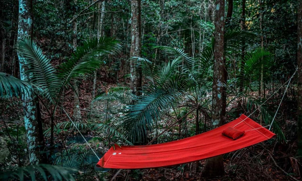 Narrows Escape Rainforest Retreat Montville Exteriér fotografie