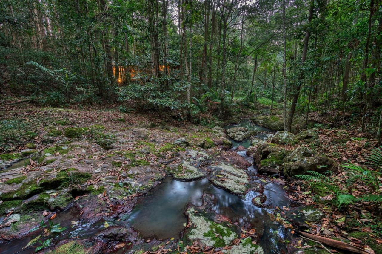 Narrows Escape Rainforest Retreat Montville Exteriér fotografie