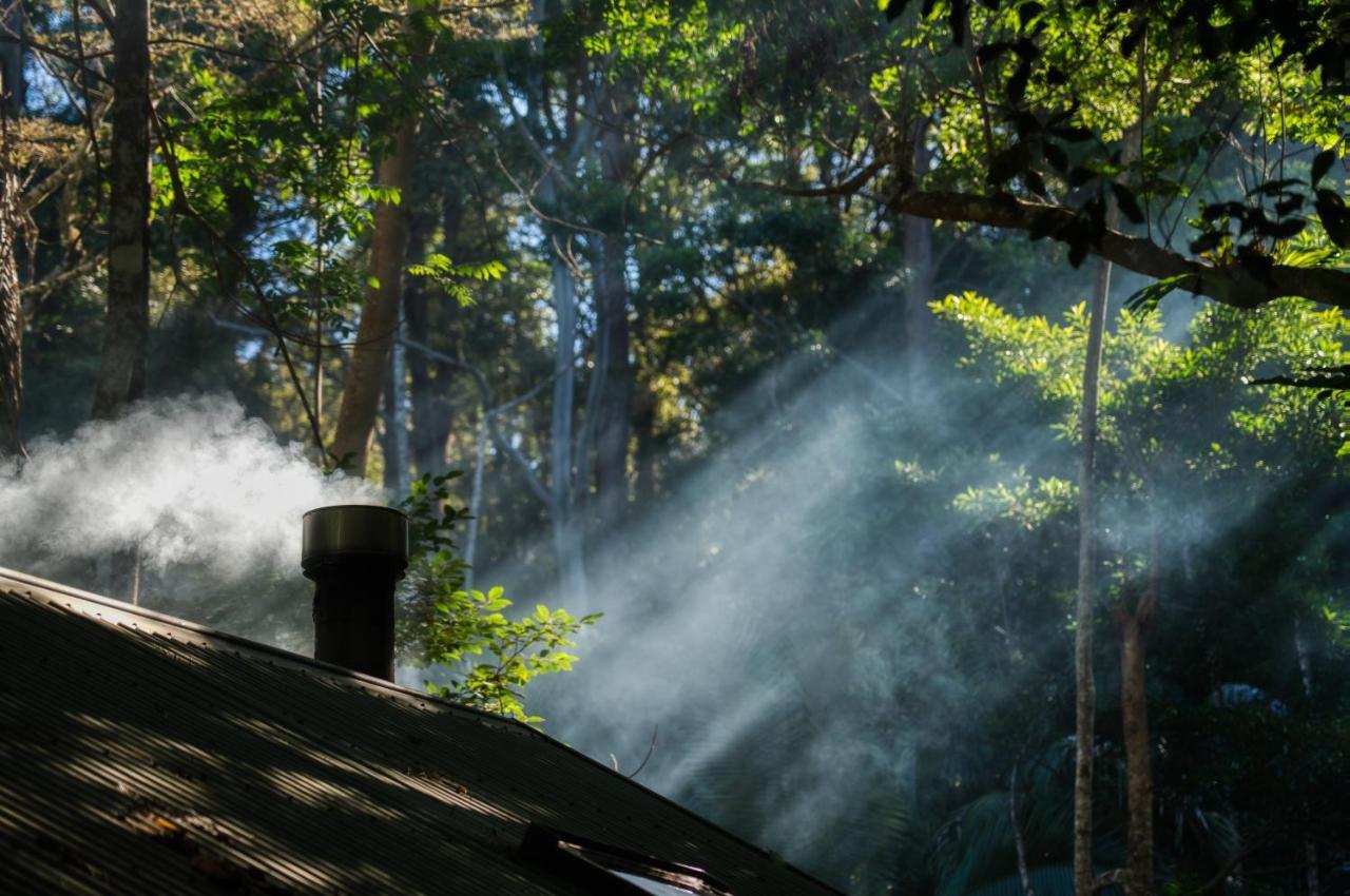 Narrows Escape Rainforest Retreat Montville Exteriér fotografie