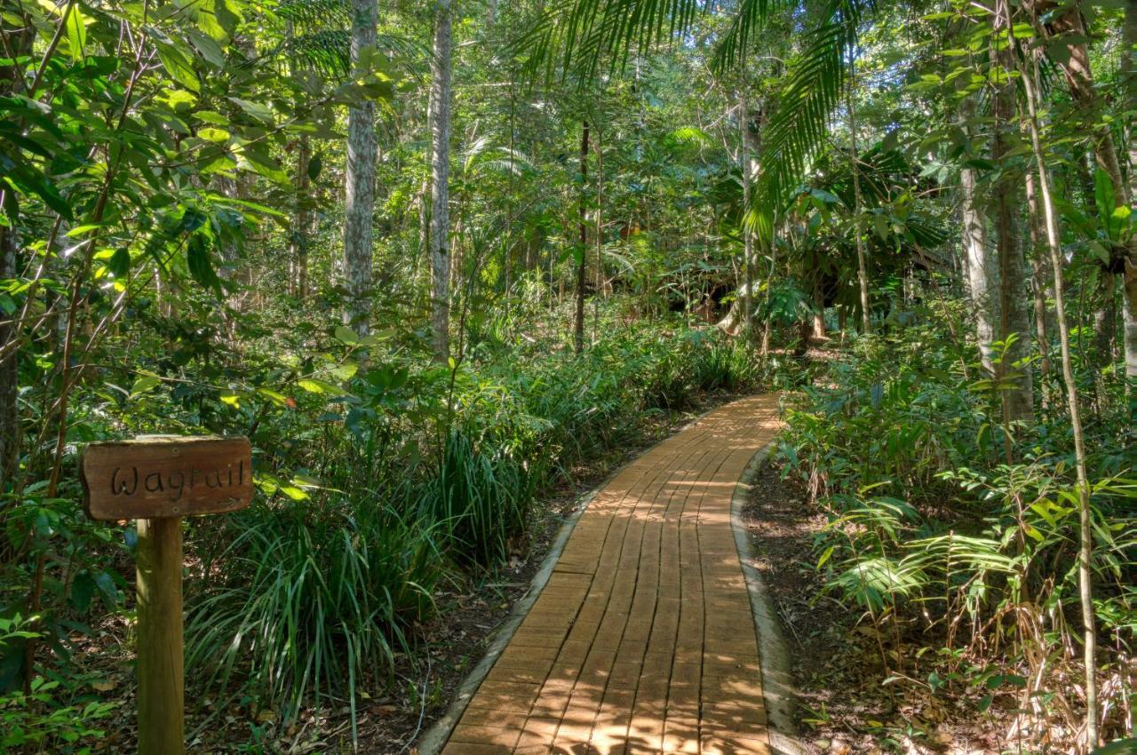 Narrows Escape Rainforest Retreat Montville Exteriér fotografie