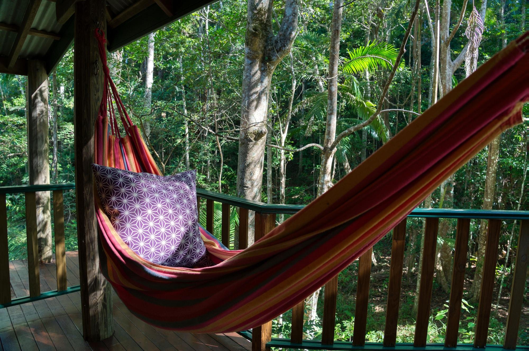 Narrows Escape Rainforest Retreat Montville Exteriér fotografie