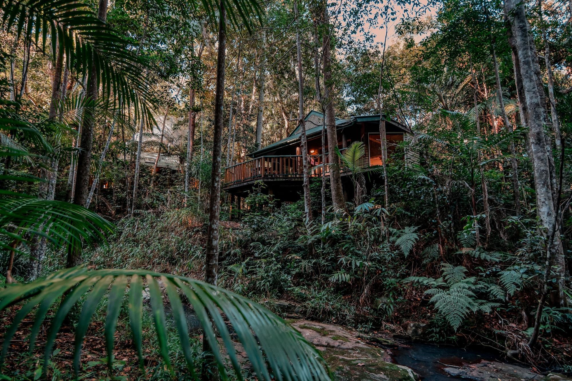 Narrows Escape Rainforest Retreat Montville Exteriér fotografie