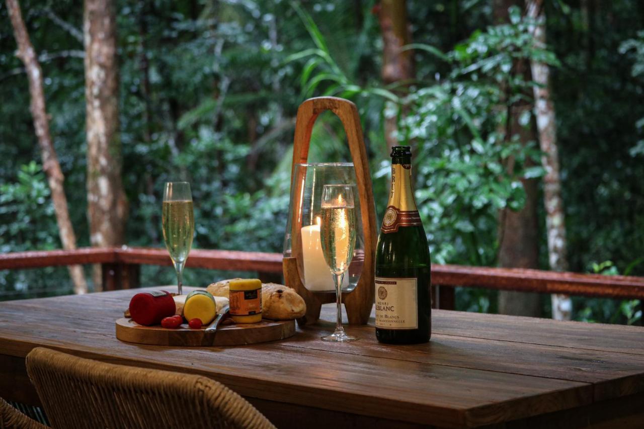 Narrows Escape Rainforest Retreat Montville Exteriér fotografie