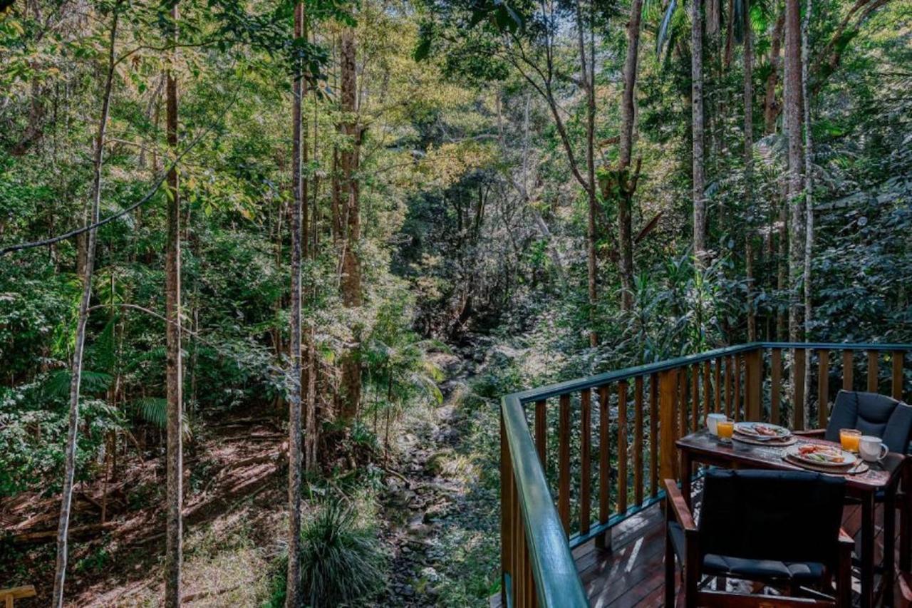 Narrows Escape Rainforest Retreat Montville Exteriér fotografie