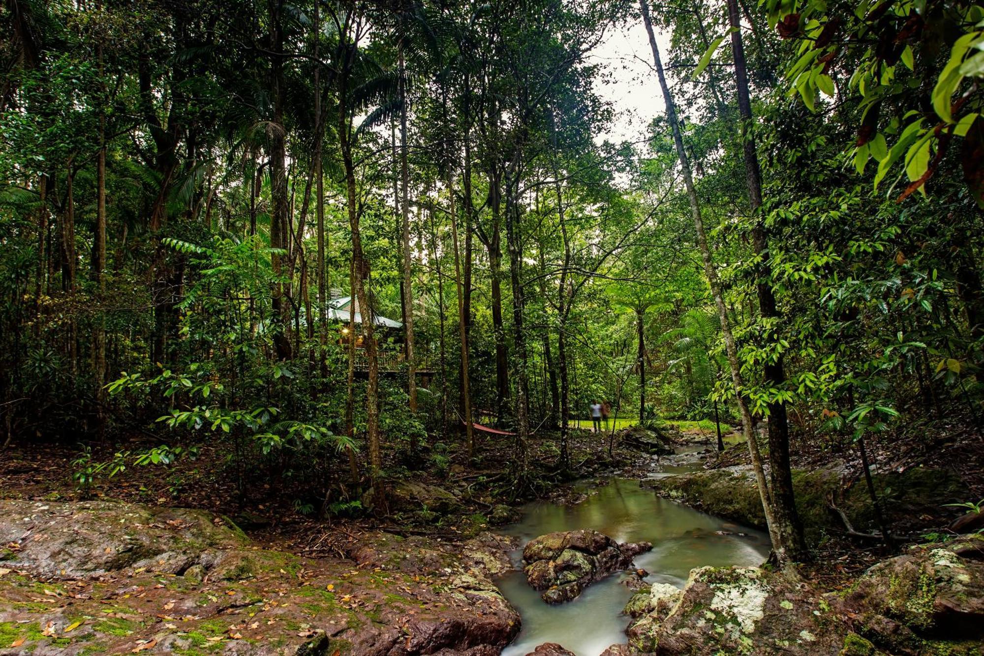 Narrows Escape Rainforest Retreat Montville Exteriér fotografie