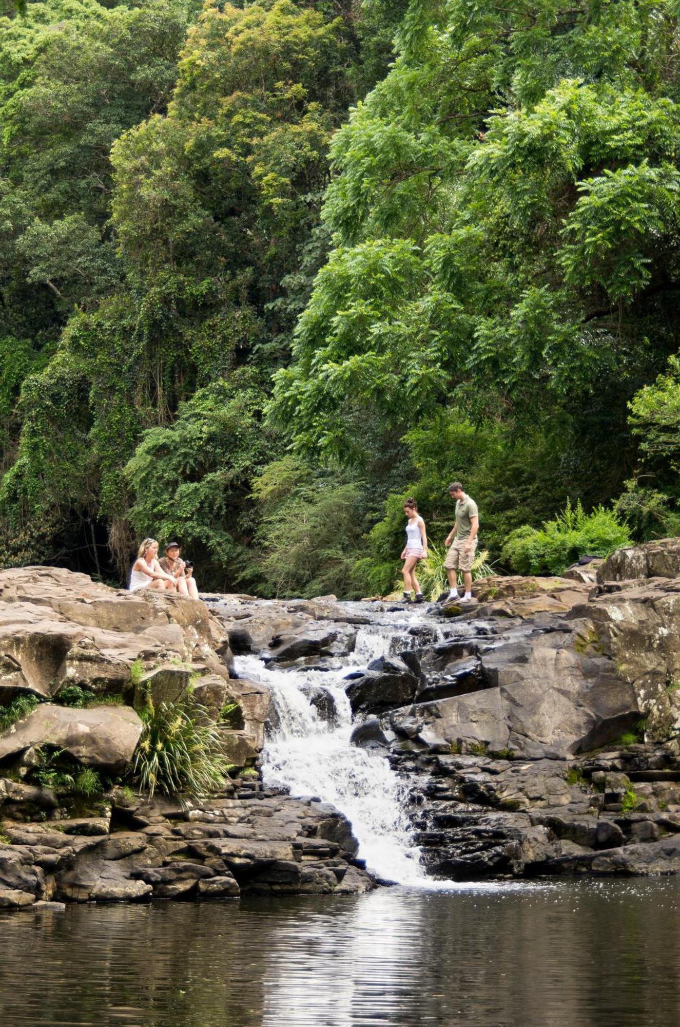 Narrows Escape Rainforest Retreat Montville Exteriér fotografie