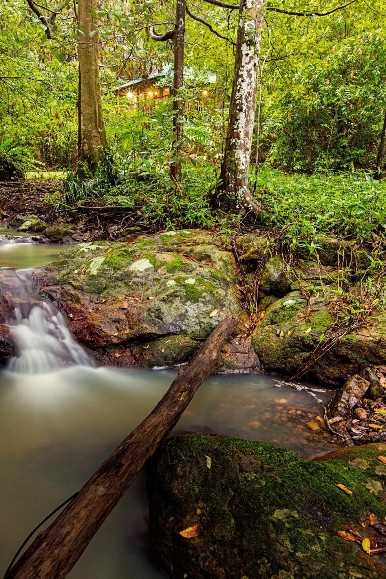 Narrows Escape Rainforest Retreat Montville Exteriér fotografie