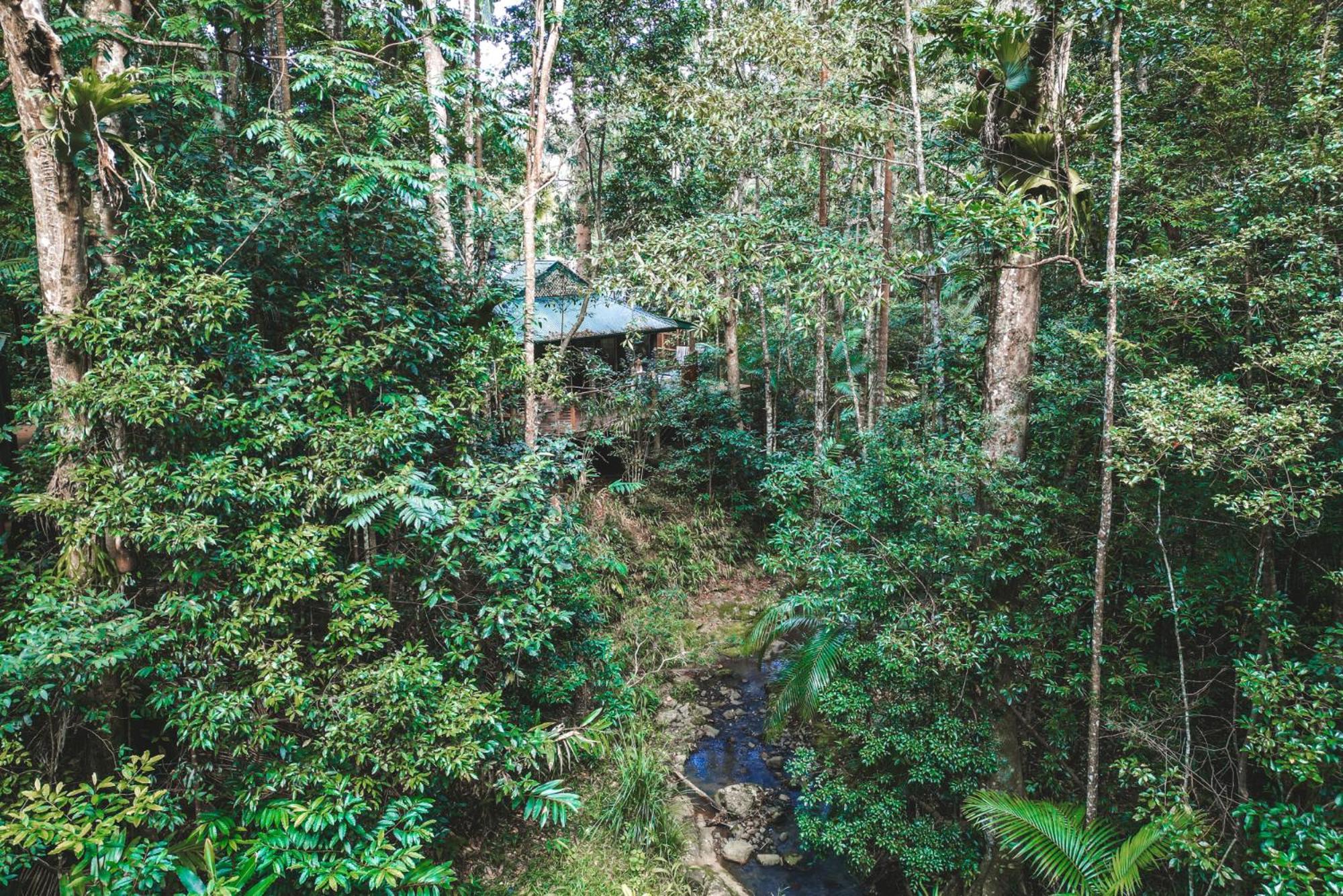 Narrows Escape Rainforest Retreat Montville Exteriér fotografie