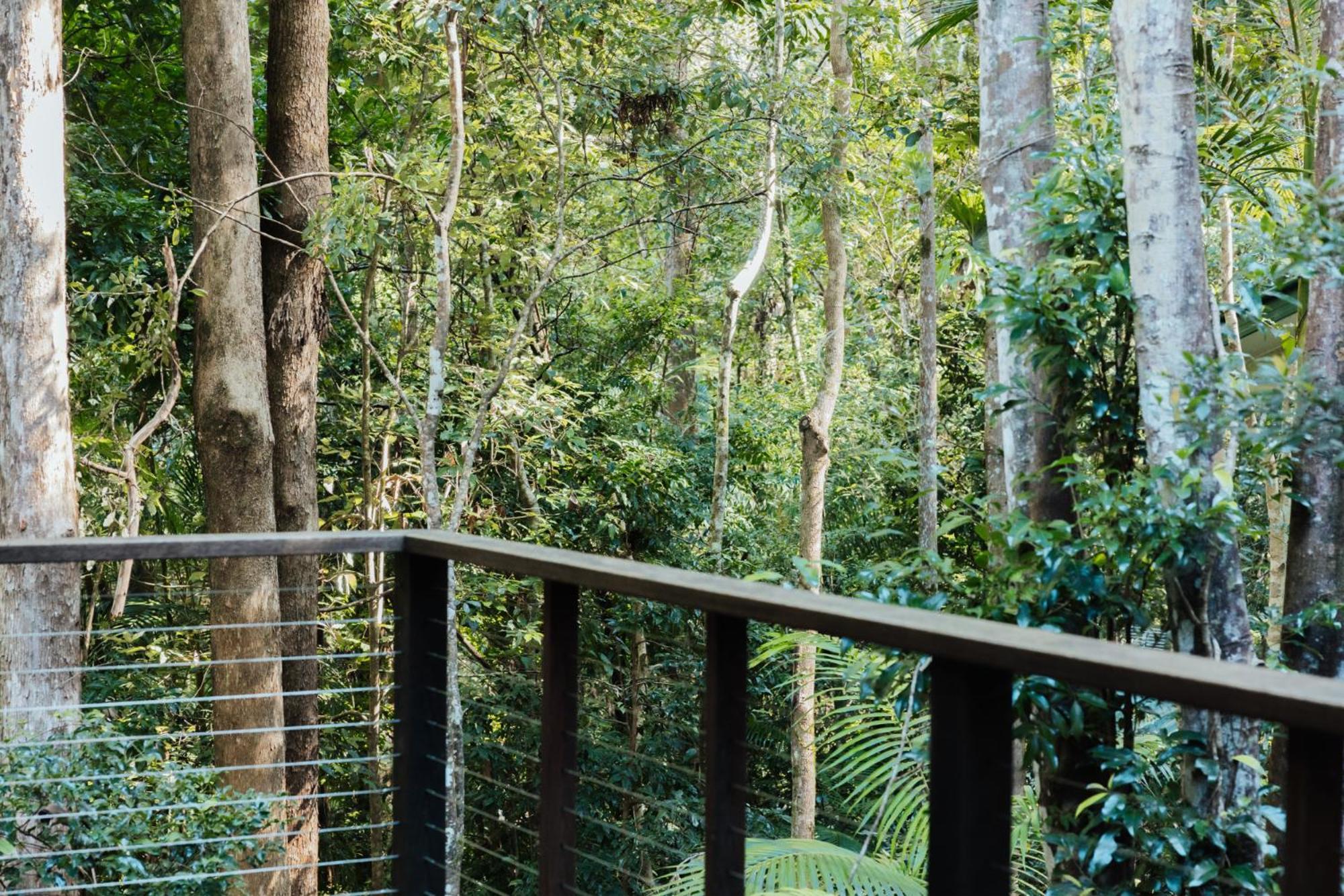 Narrows Escape Rainforest Retreat Montville Exteriér fotografie