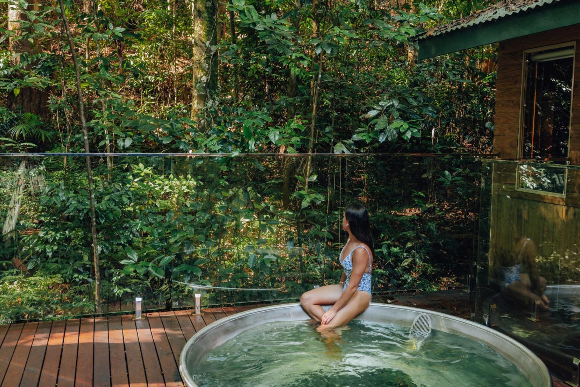 Narrows Escape Rainforest Retreat Montville Exteriér fotografie
