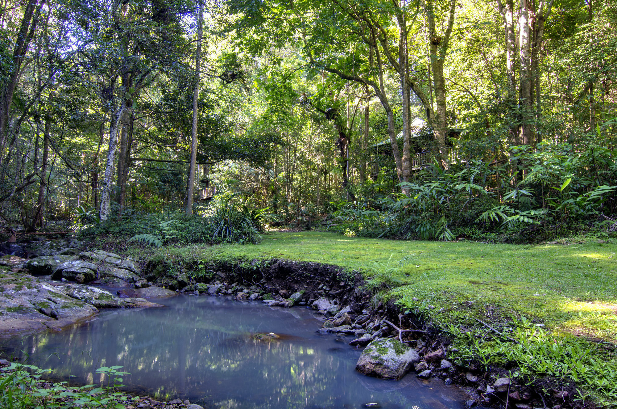 Narrows Escape Rainforest Retreat Montville Exteriér fotografie